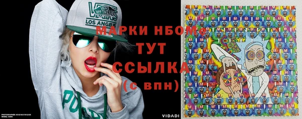 прущие грибы Верея