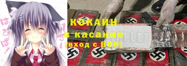 прущие грибы Верея