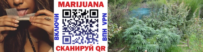 Канабис гибрид Дно