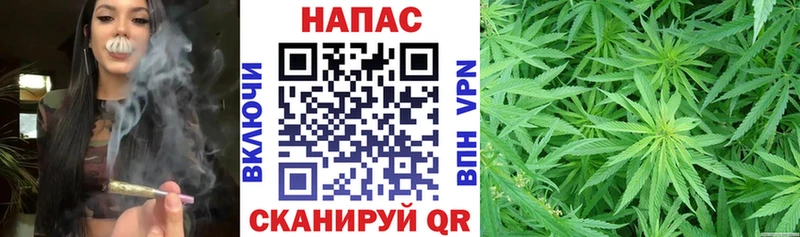 Бошки марихуана OG Kush Дно